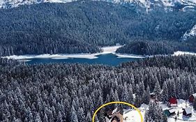 Apartment Durmitor